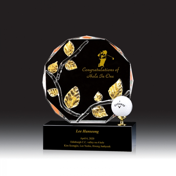 골프 트로피 HB-9109